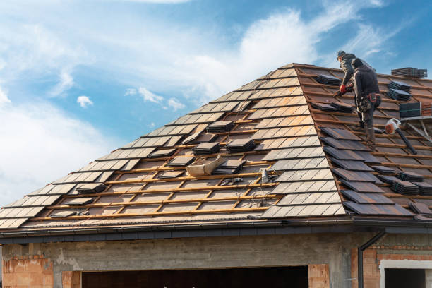 Best Skylight Installation and Repair  in Cambridge, MD